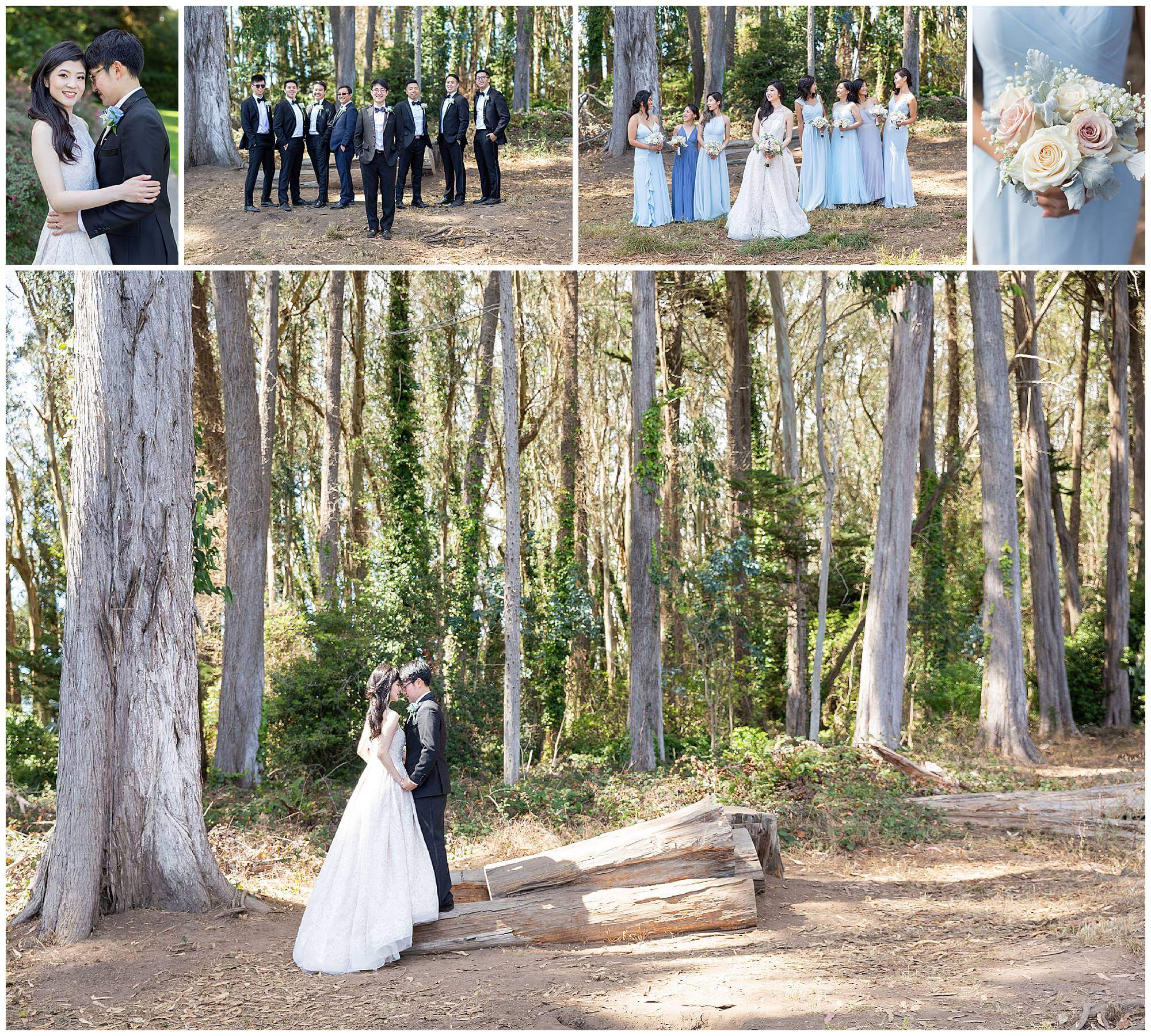 Collage of photos from Ivana and Kevin's San Francisco wedding