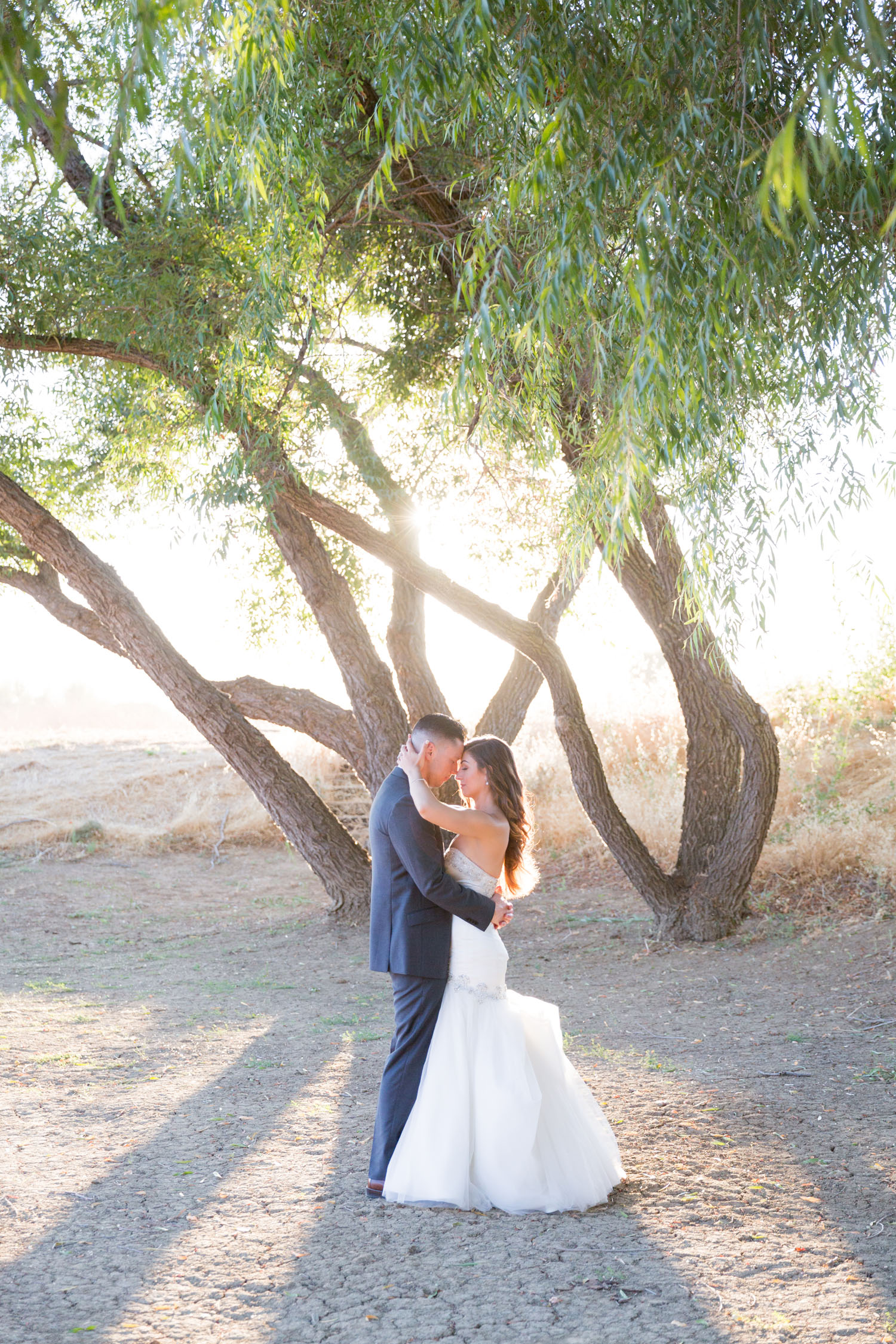 bride and groom under tree with sun behind tree